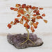 Novica Little Tree Carnelian Gemstone Sculpture - By Novica