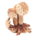 Novica Living Mushrooms Wood Sculpture - By Novica