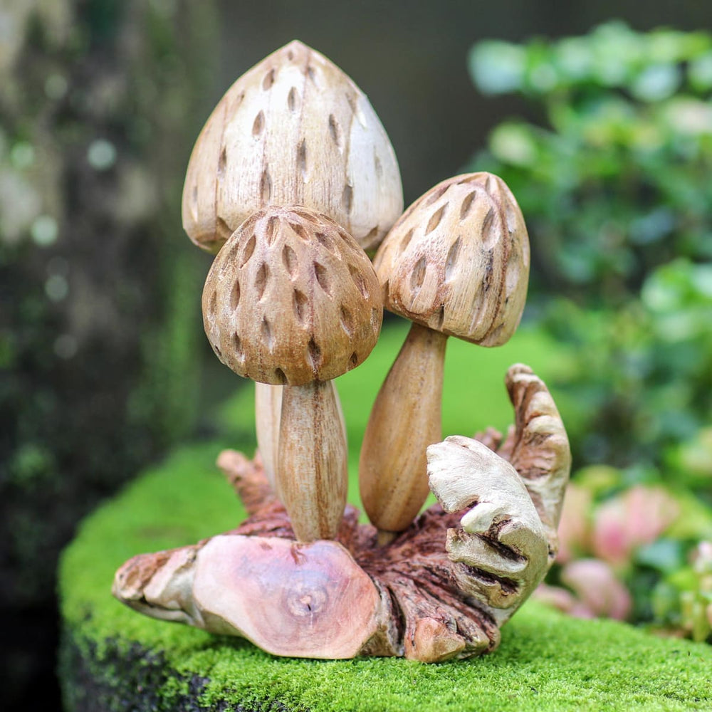 Novica Living Mushrooms Wood Sculpture - By Novica