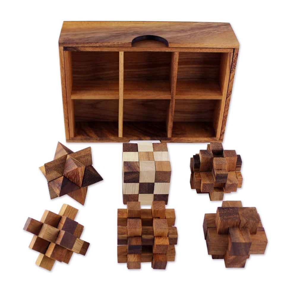 Novica Logical Mind Wood Puzzles (Set Of 6) — Discovered