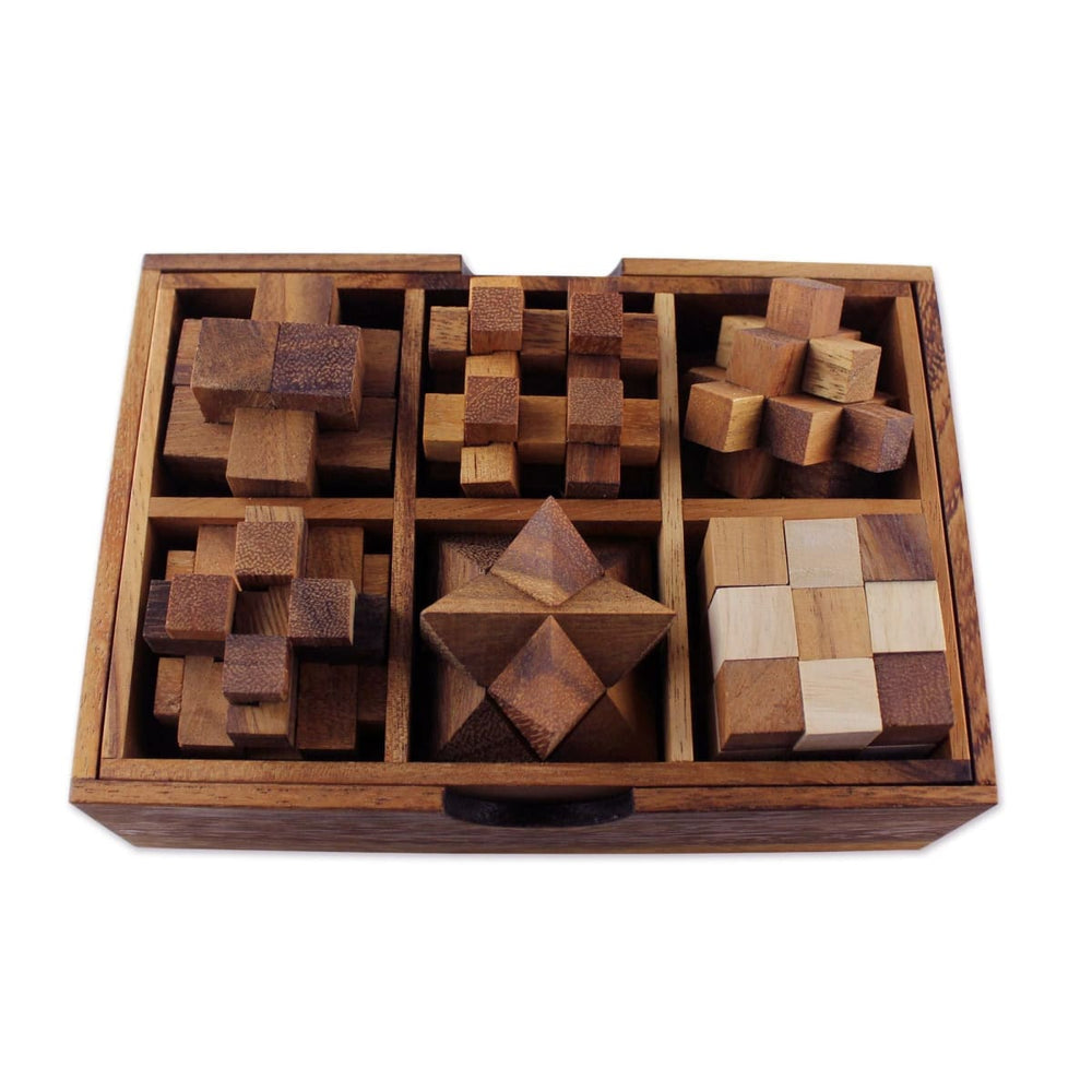 Novica Logical Mind Wood Puzzles (set Of 6) - By Novica
