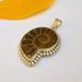 Necklaces Ammonite Fossil Pendant Necklace Shell 925 Silver Rare Gemstones Unique Jewelry