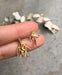 Cypress Branch Earrings in Brass - Title - Earrings