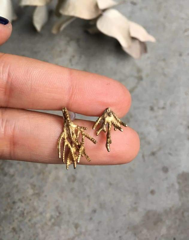 Cypress Branch Earrings in Brass - Earrings