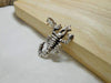 Necklaces Silver Scorpio Star Sign Charm 925 Sterling Birth Horoscope